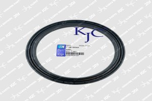 ZTAM-00064 Hyundai KJC SEAL  Caterpillar