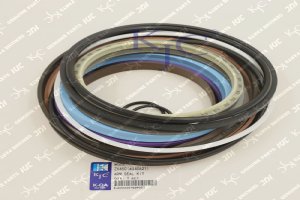 4340621 Kit de sello del cilindro del brazo para la excavadora Hitachi ZX450